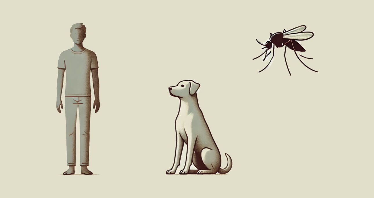 Informes técnicos: Leishmaniose